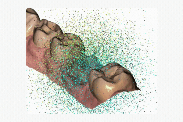 dandy careers ai and ml