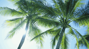 Dandy dentists night out event south florida